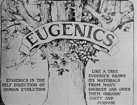 eugenics testosterone|More.